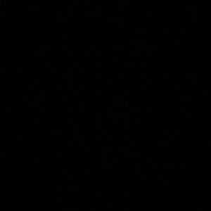 Meet your Posher, Gabrielle